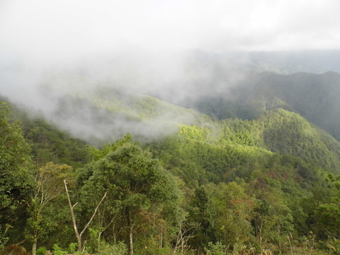 云霧迷蒙的群山