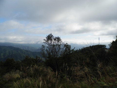 山中景色