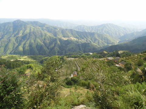 連綿的群山