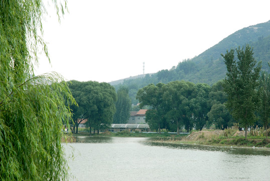 湖畔民居