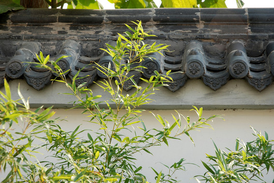 黛瓦白墻綠竹