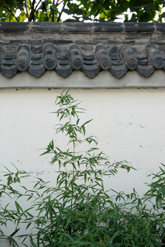 黛瓦白墻綠竹