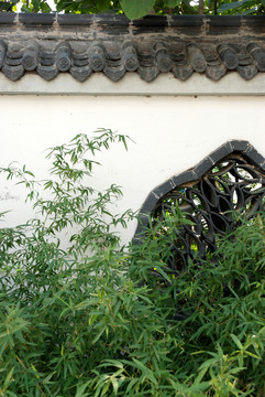 黛瓦白墻綠竹