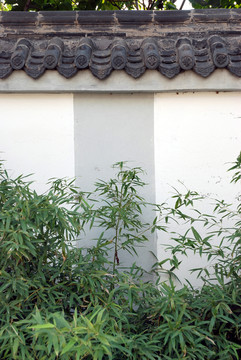 白墻黛瓦綠竹