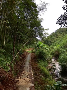 小溪小路