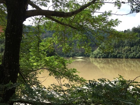 黃色河水