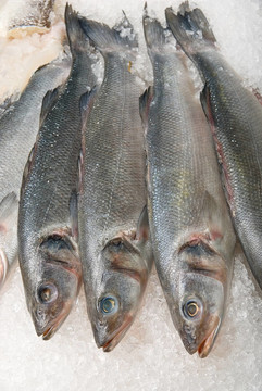魚