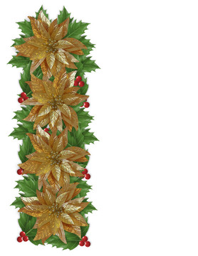 圣誕節(jié)一品紅冬青黃金邊界