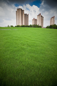 城市