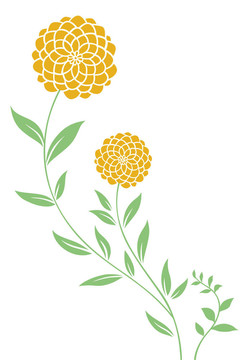 花型圖案