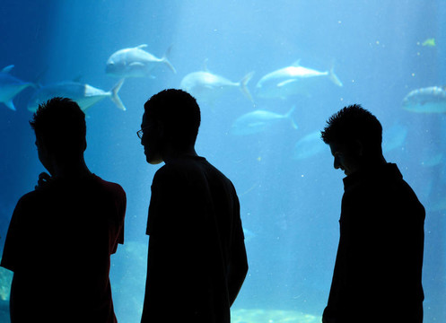 水族館里的年輕人