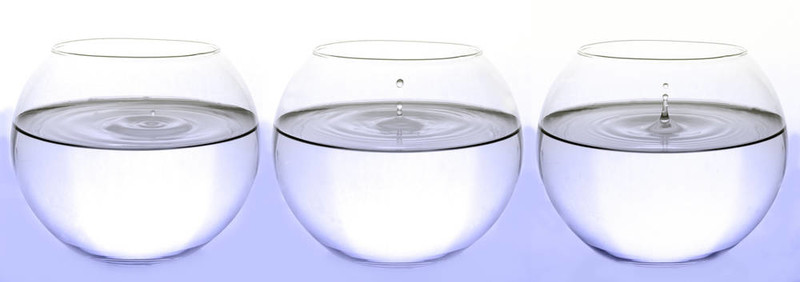 一滴水在魚(yú)缸上