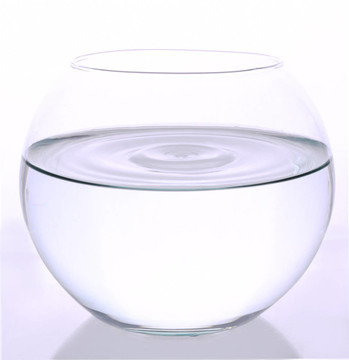 一滴水在魚(yú)缸上
