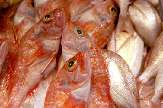 食品市場上的紅魚
