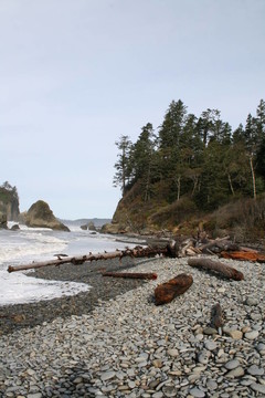 La Push