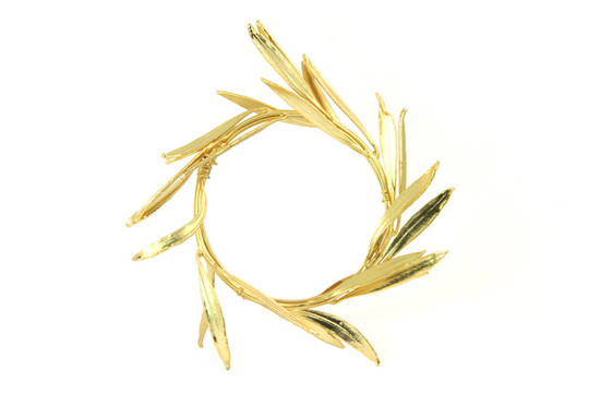金色花環(huán)