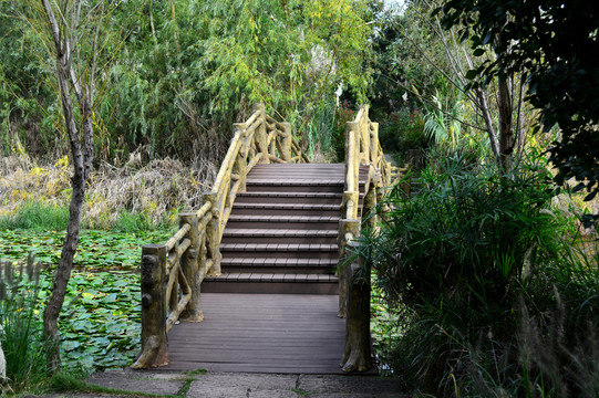 西昌濕地公園