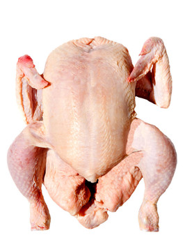 生雞肉