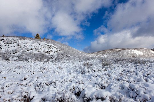 白雪覆蓋的群山