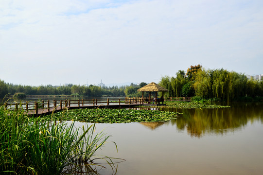 西昌濕地公園