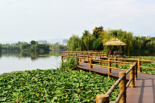 西昌濕地公園