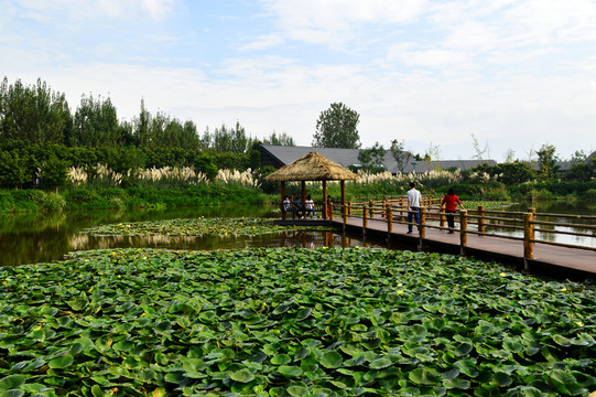 西昌濕地公園