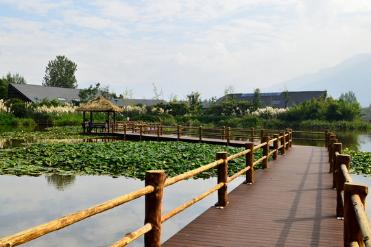 西昌濕地公園