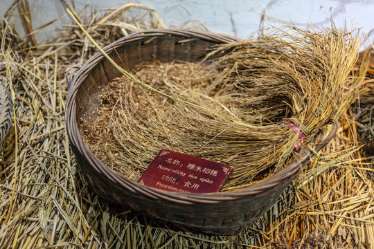 西江苗族博物館