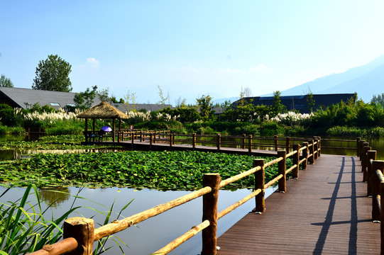 西昌濕地公園