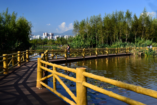 西昌濕地公園