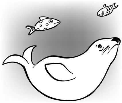 海豹和魚