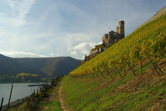 Ehrenfels 12