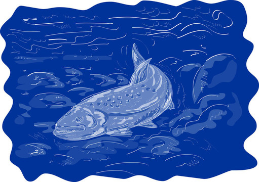 斑點鱒魚