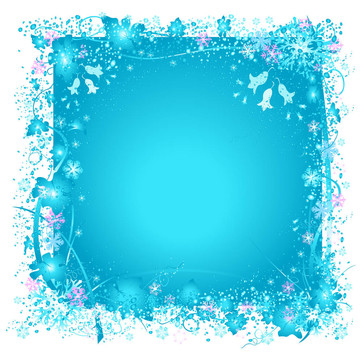 冰凍的大自然；雪花和冰