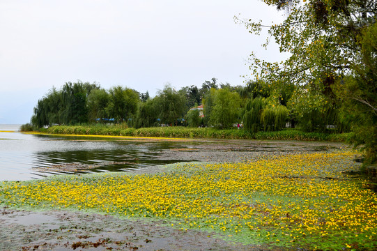 西昌邛海公園