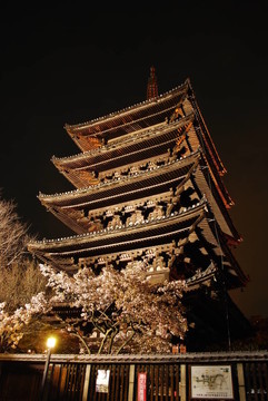 雄偉的塔夜觀