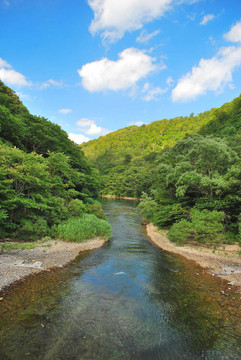 清澈的溪流流入山上