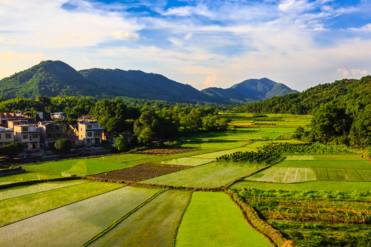 貴州旅游沿途風(fēng)景