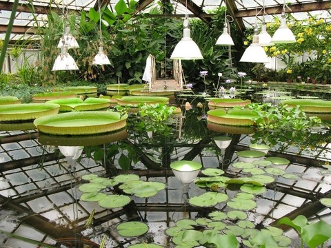 植物園溫室。