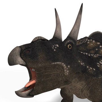恐龍diceratops