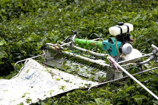機械化茶葉收割機