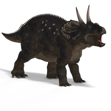 恐龍diceratops