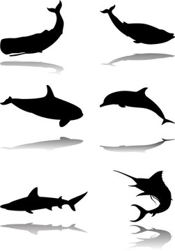 海洋動物集