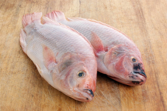 兩個(gè)新鮮的有機(jī)非洲羅非魚木材板
