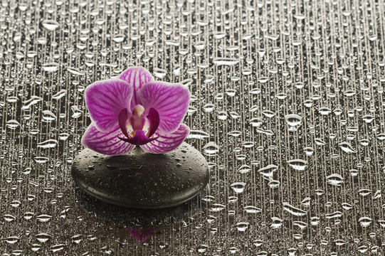 水療生活館