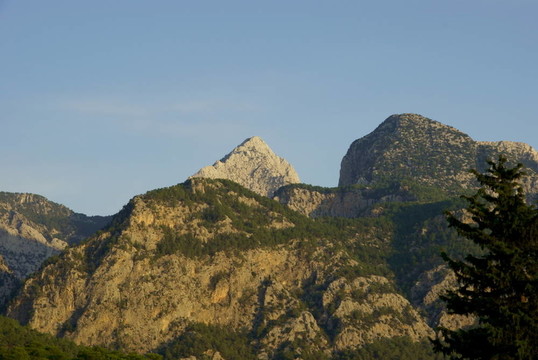 山