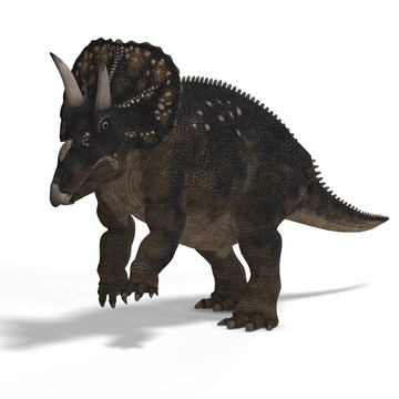 恐龍diceratops