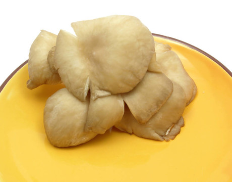 白瓷上的平菇