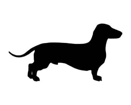一個(gè)shortlegged Badger Dog黑色的剪影