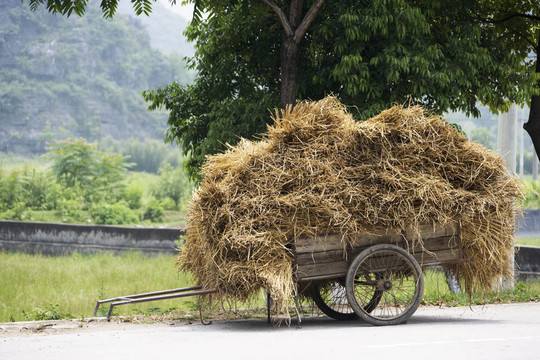 中國的干草車